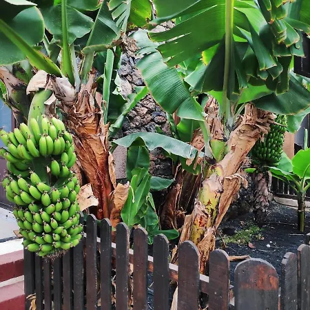 Appartement Lucia - Buganvillas