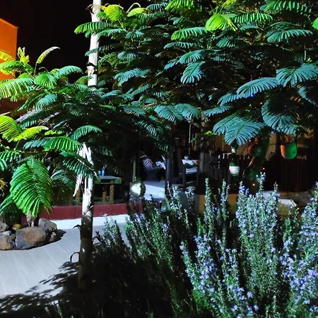 Appartement Lucia - Buganvillas Tías